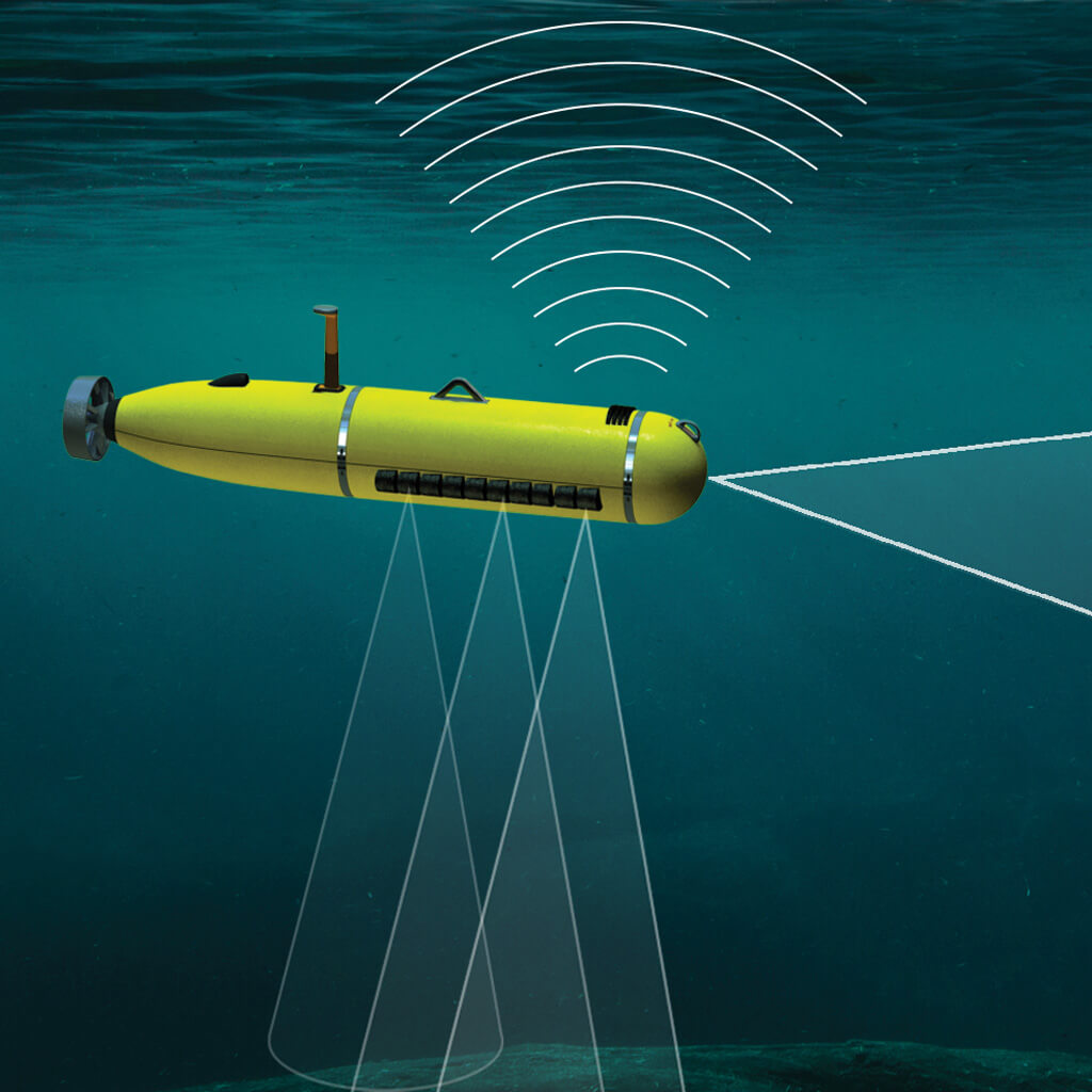 ROV